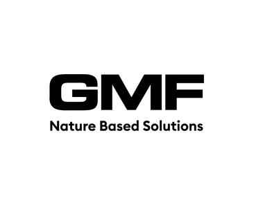 GMFSA